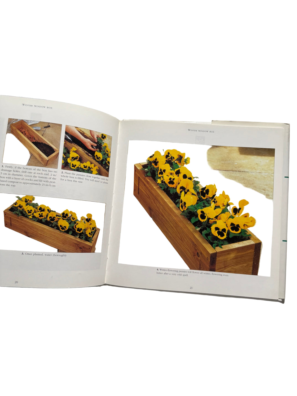 The Container Gardener