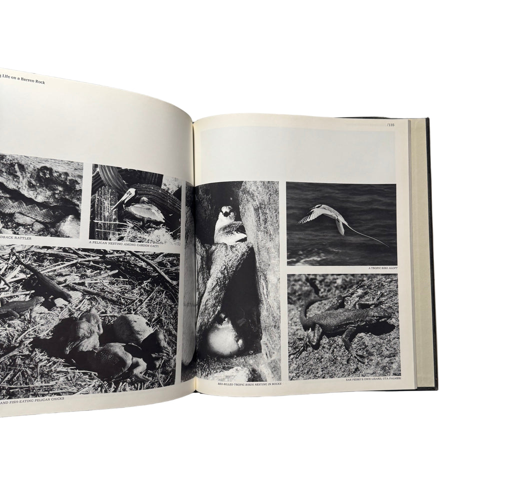Mexico’s Baja California The World’s Wild Places Time- Life Books