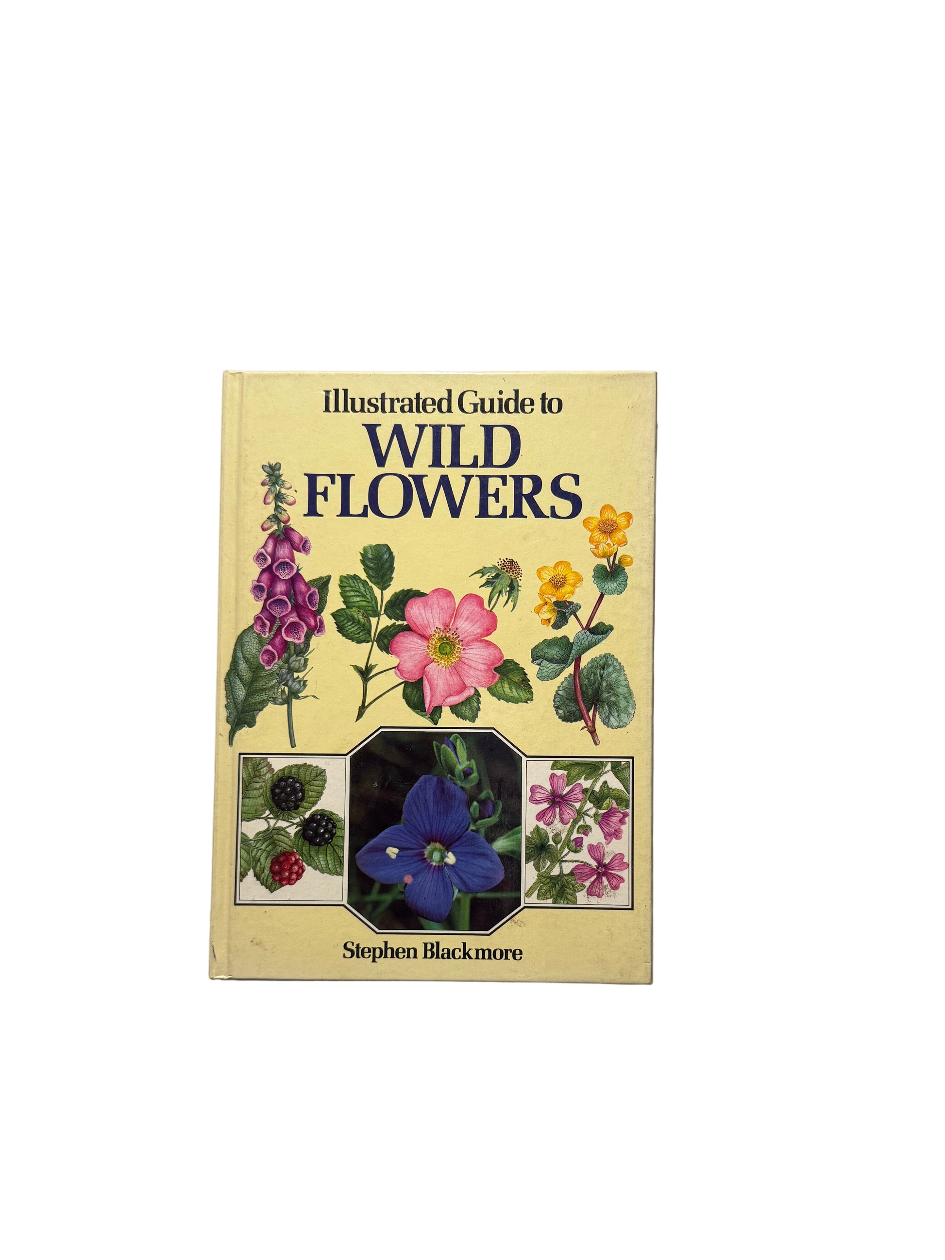 Illustrated Guide to Wild Flowers