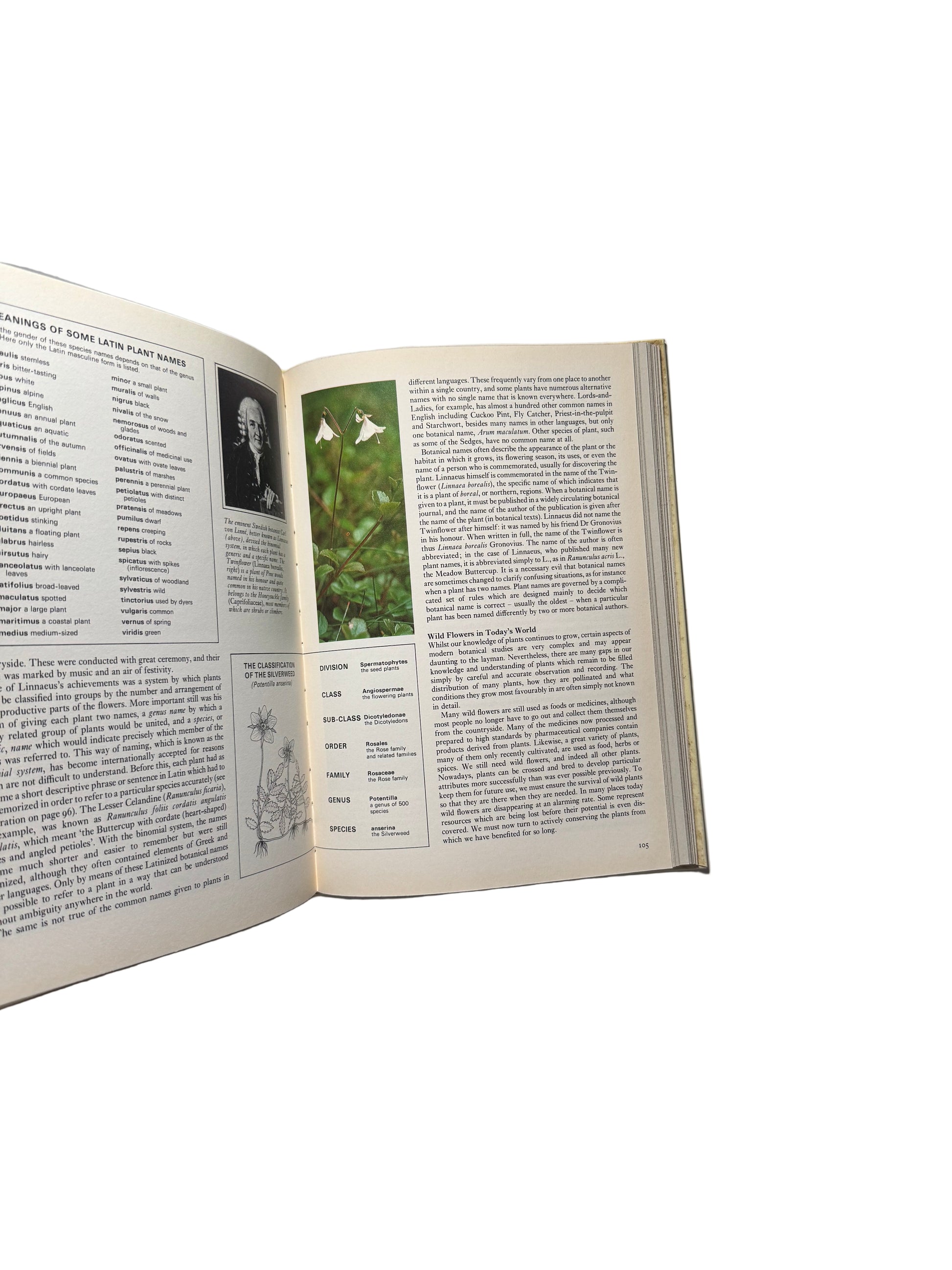 Illustrated Guide to Wild Flowers