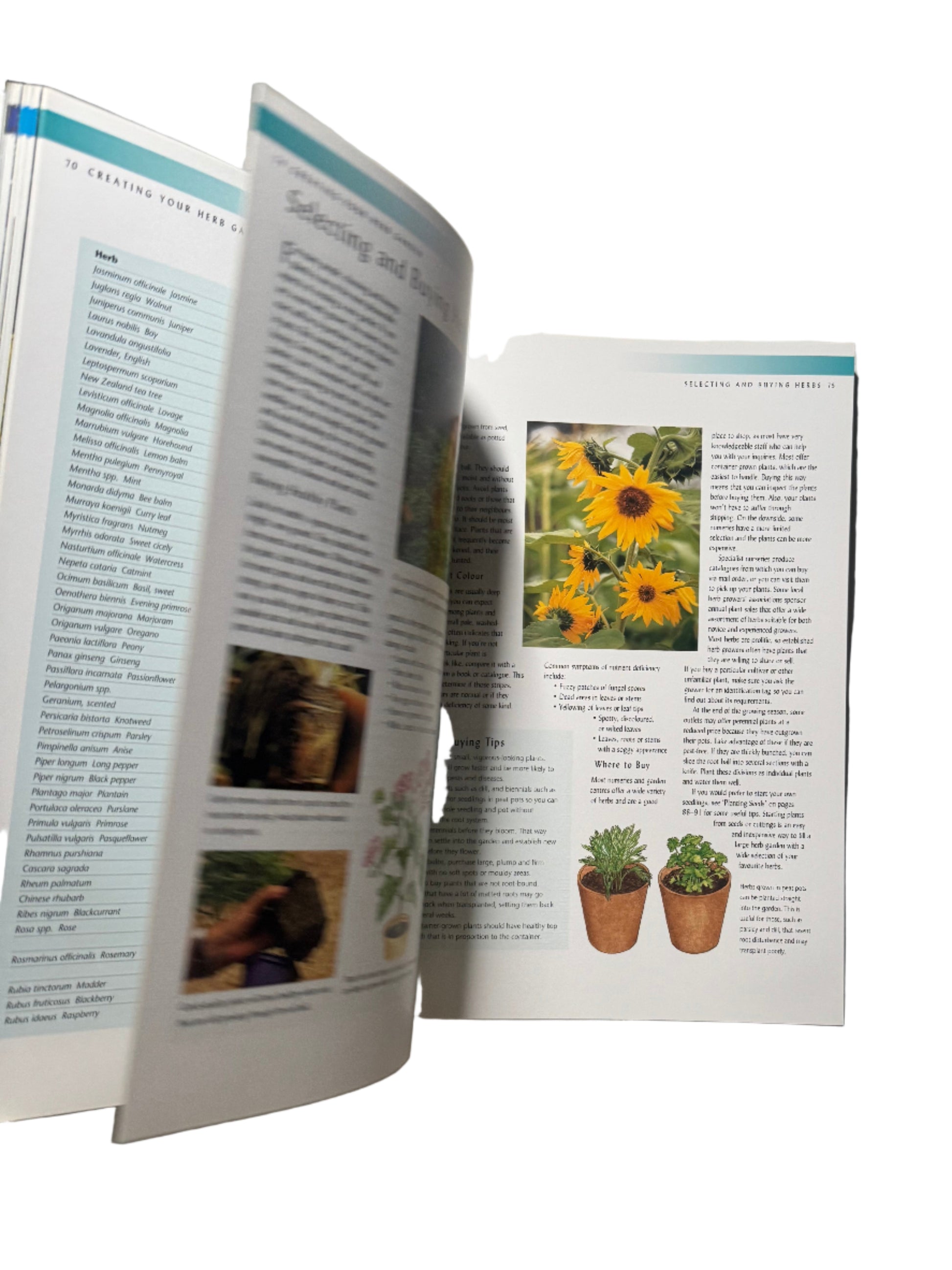Herb Gardening