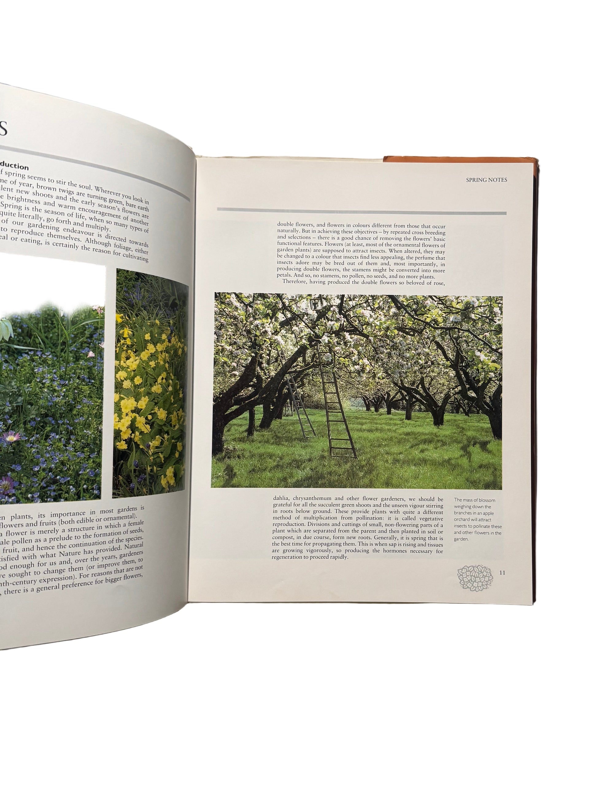 A Garden For All Seasons