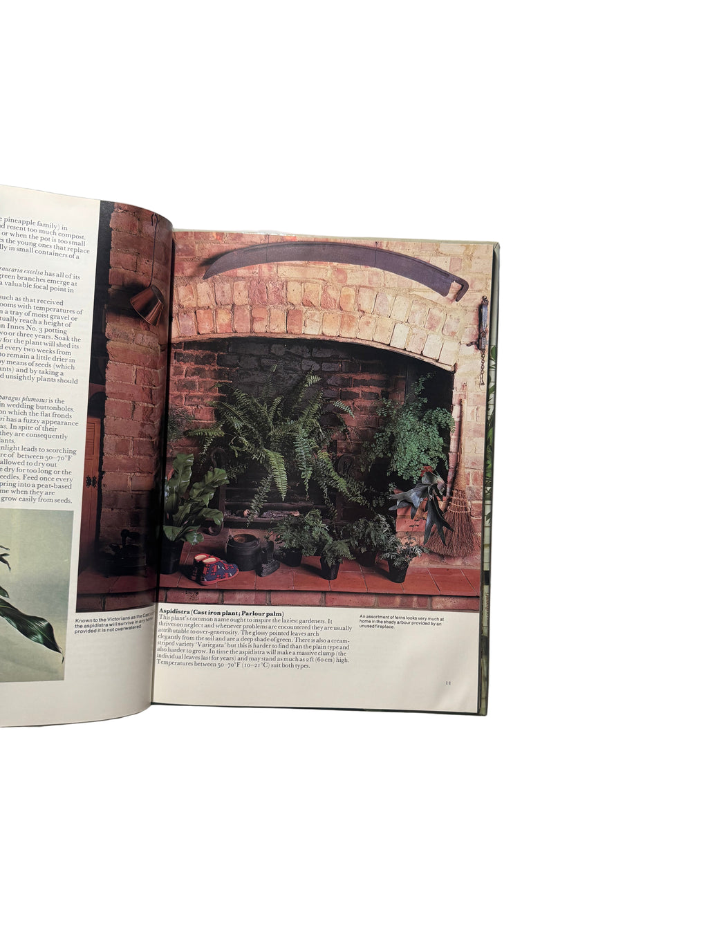 Everyone’s Book of House Plants