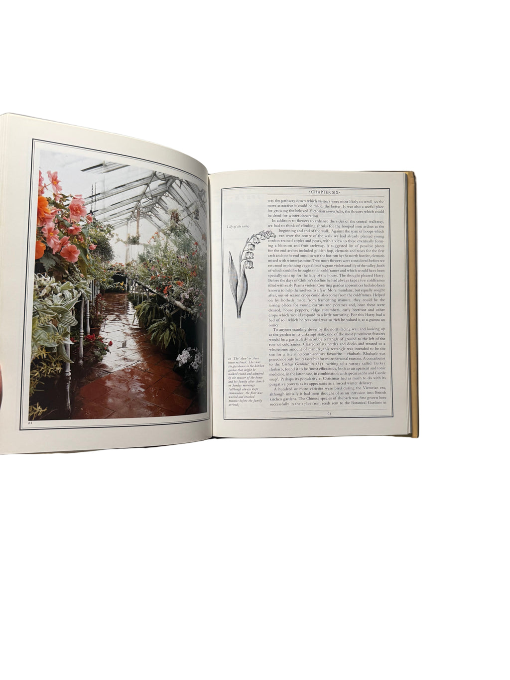The Victorian Kitchen Garden