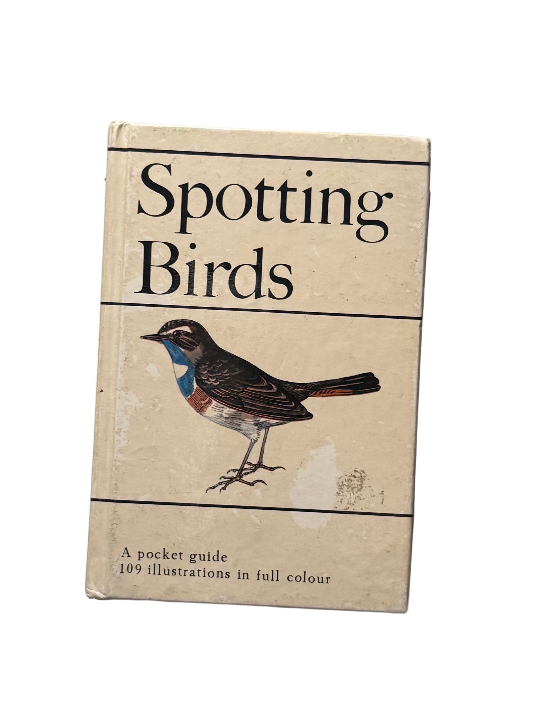 Spotting Birds