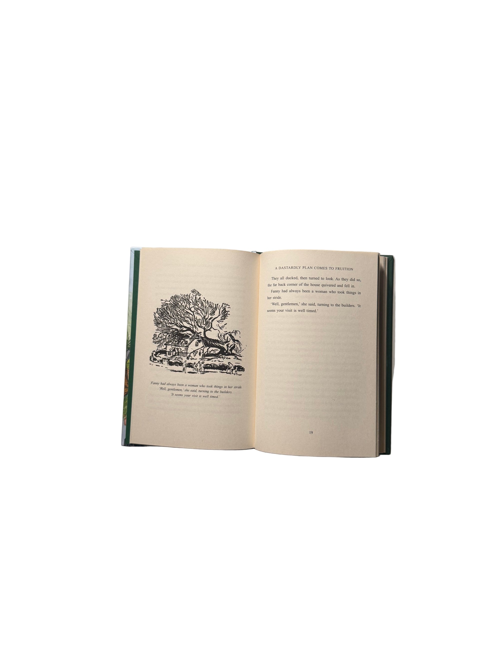 Five Lose Dad in The Garden Centre