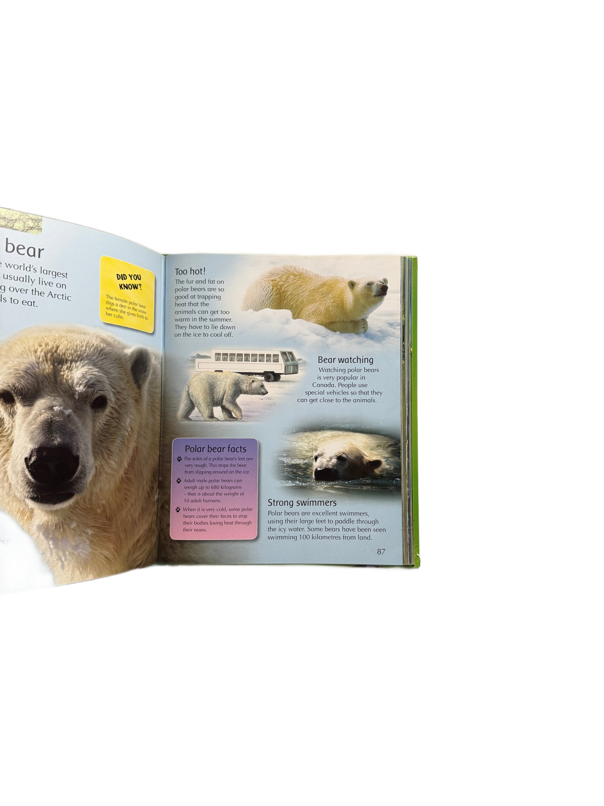 My First Animal ENCYCLOPEDIA