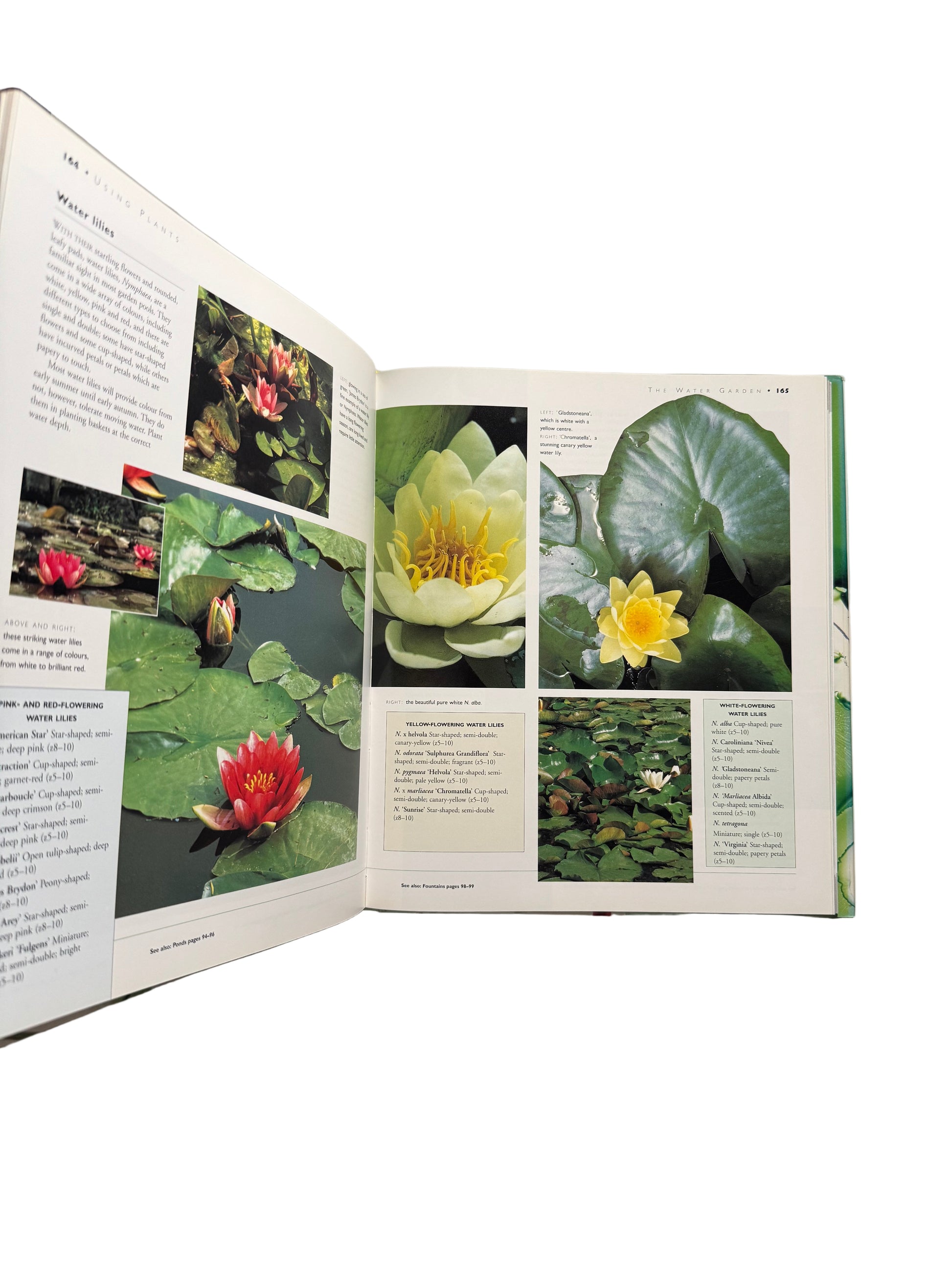 The Hamlyn Gardening Book