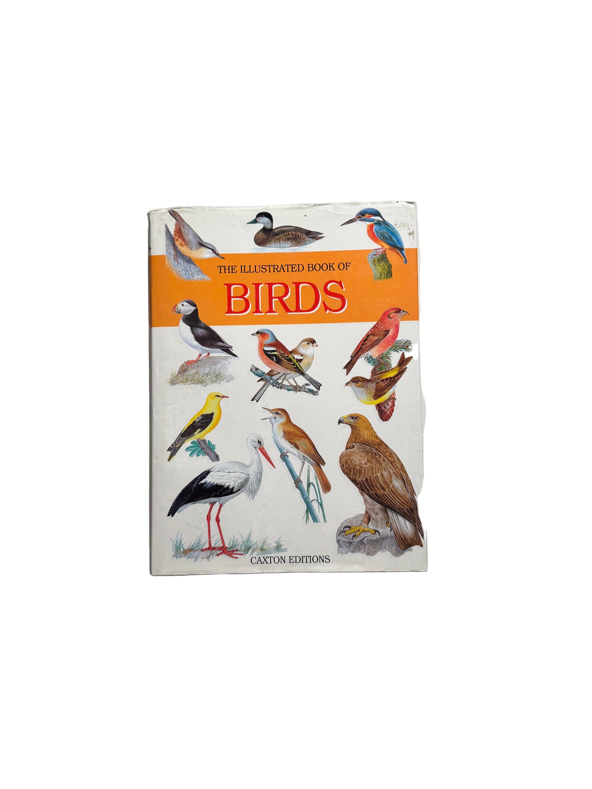 The Illustrated Book of Birds
