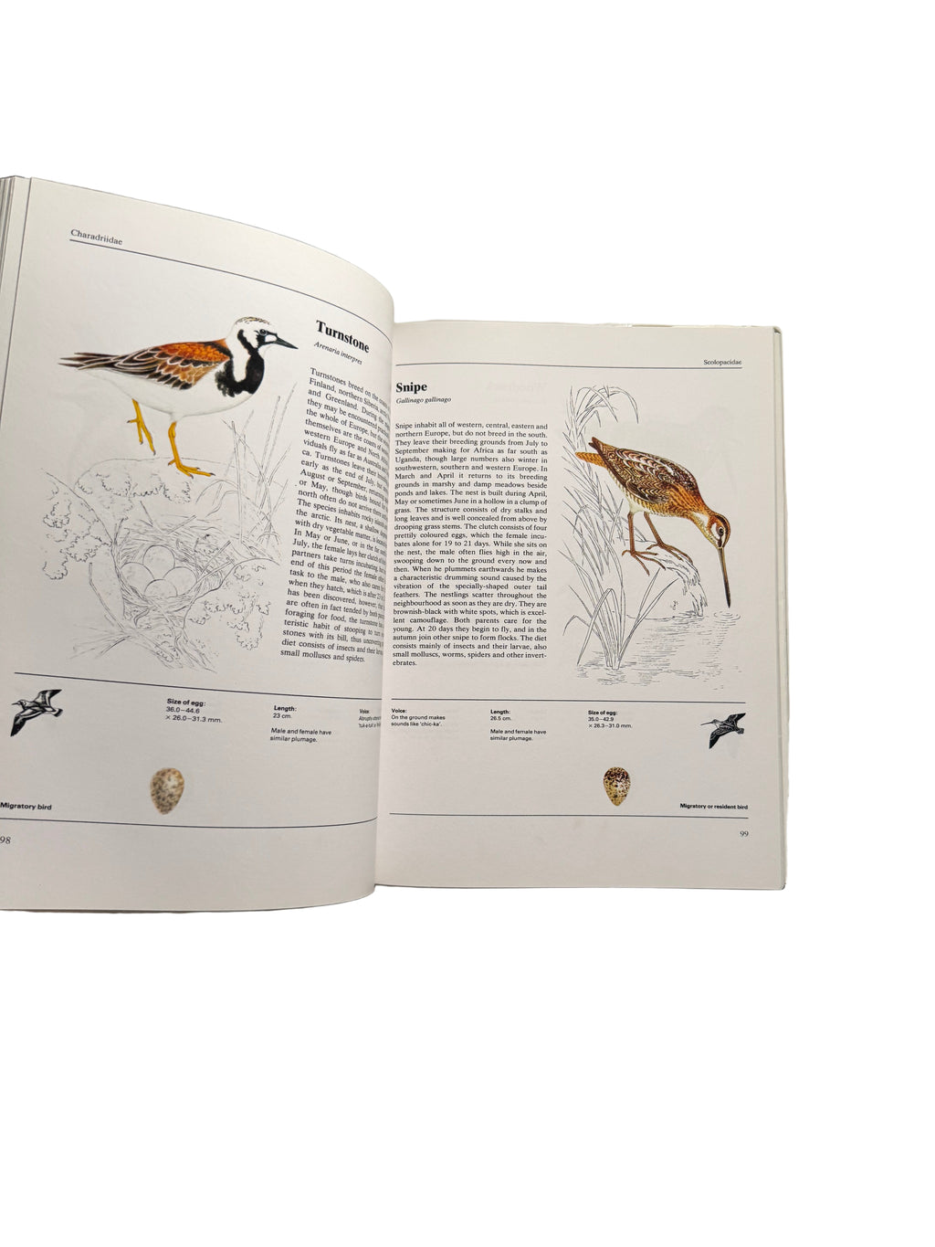The Illustrated Book of Birds