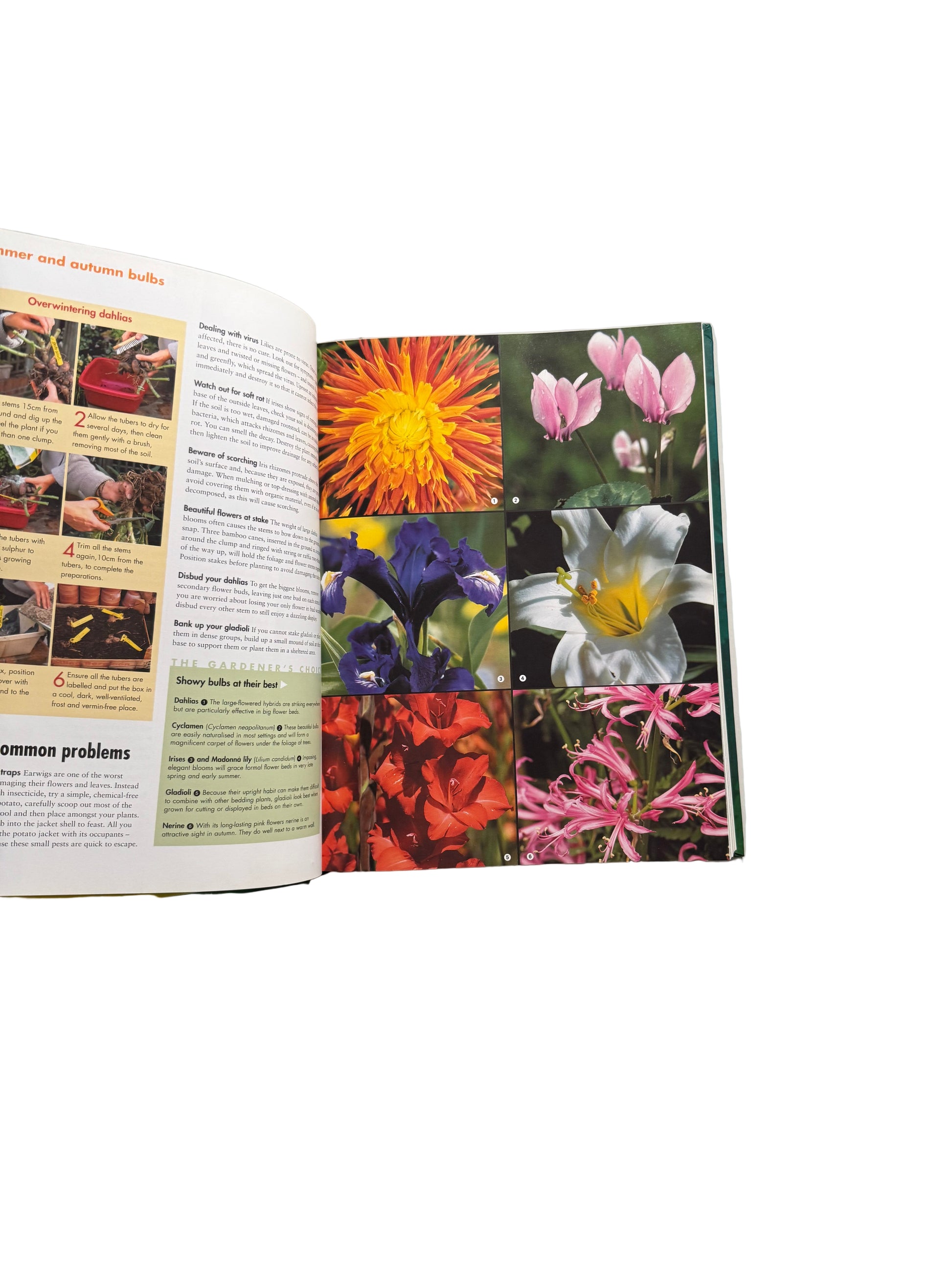 Secrets and Tips from Yesterday’s Gardeners