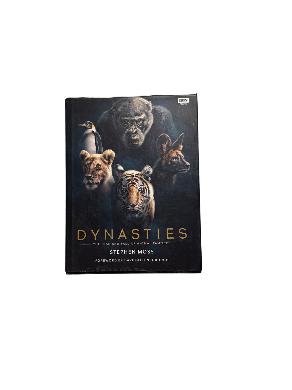 Dynasties
