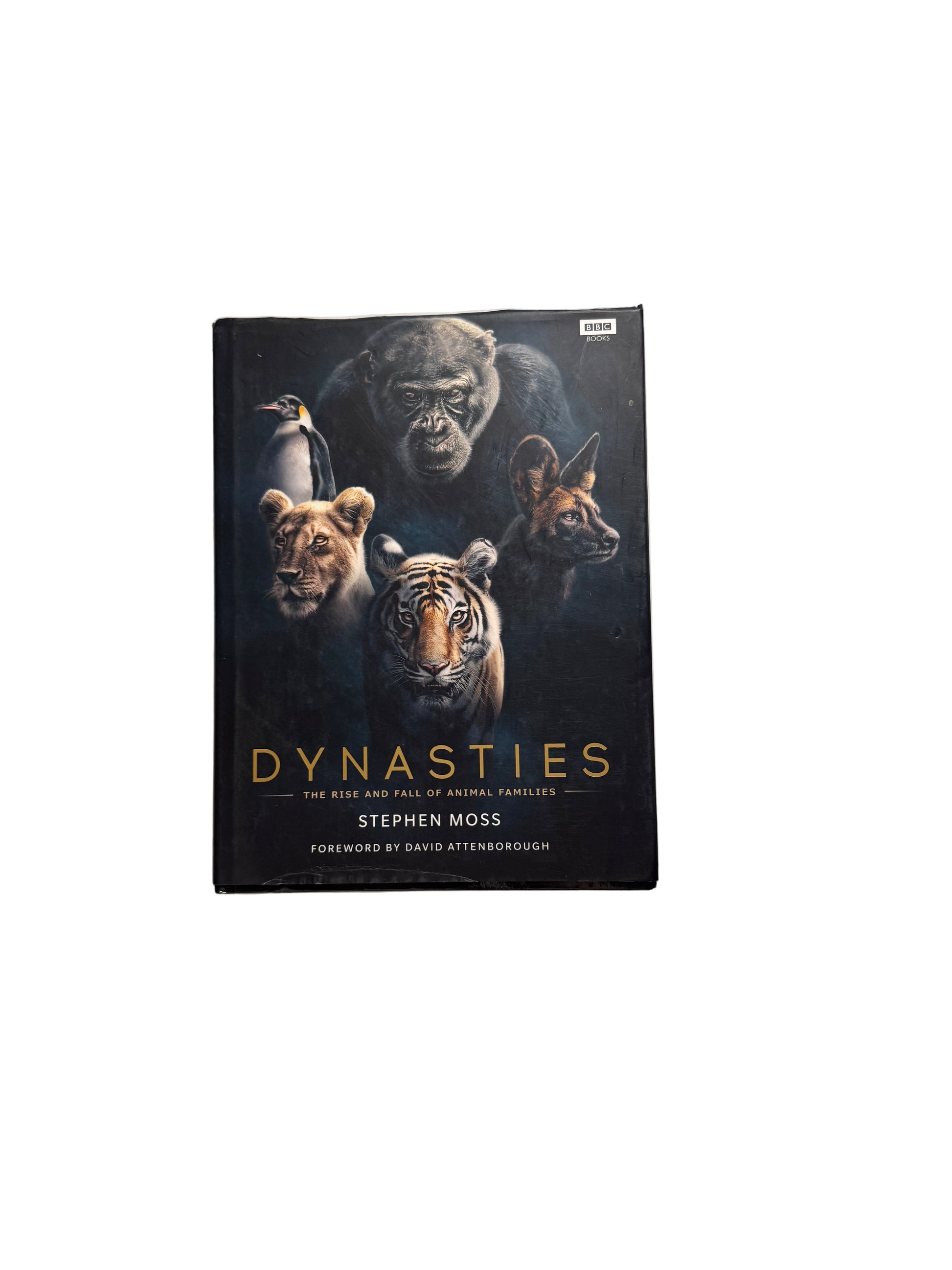 Dynasties