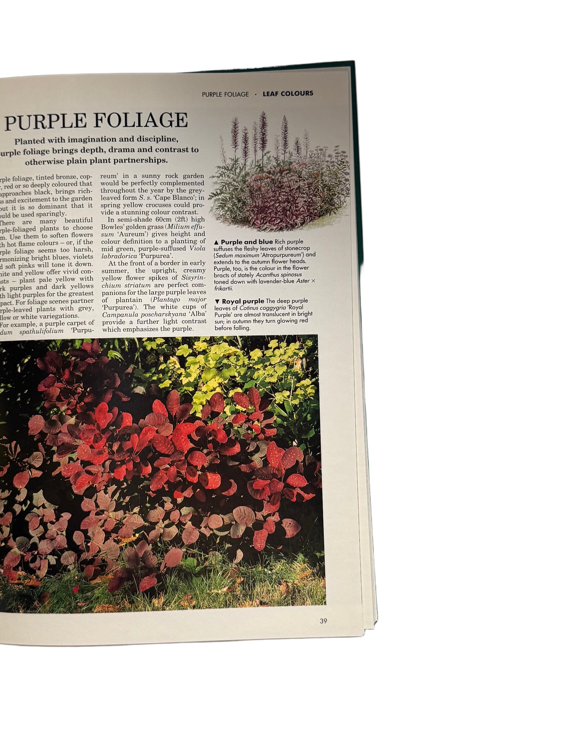 Colour Round the Year