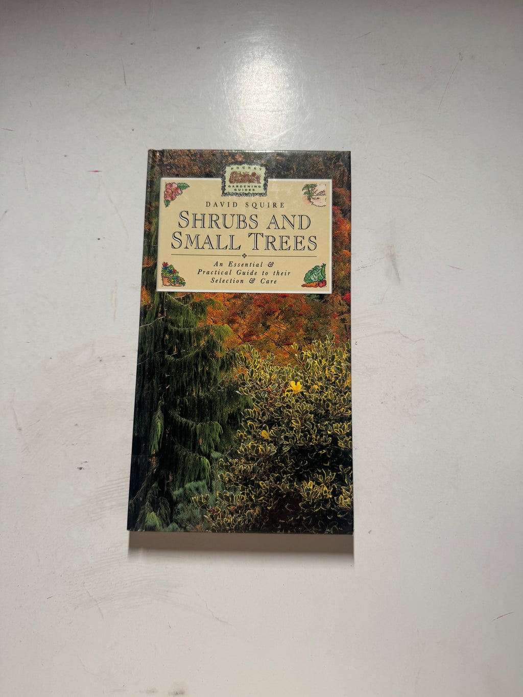 Shrubs and Small Trees