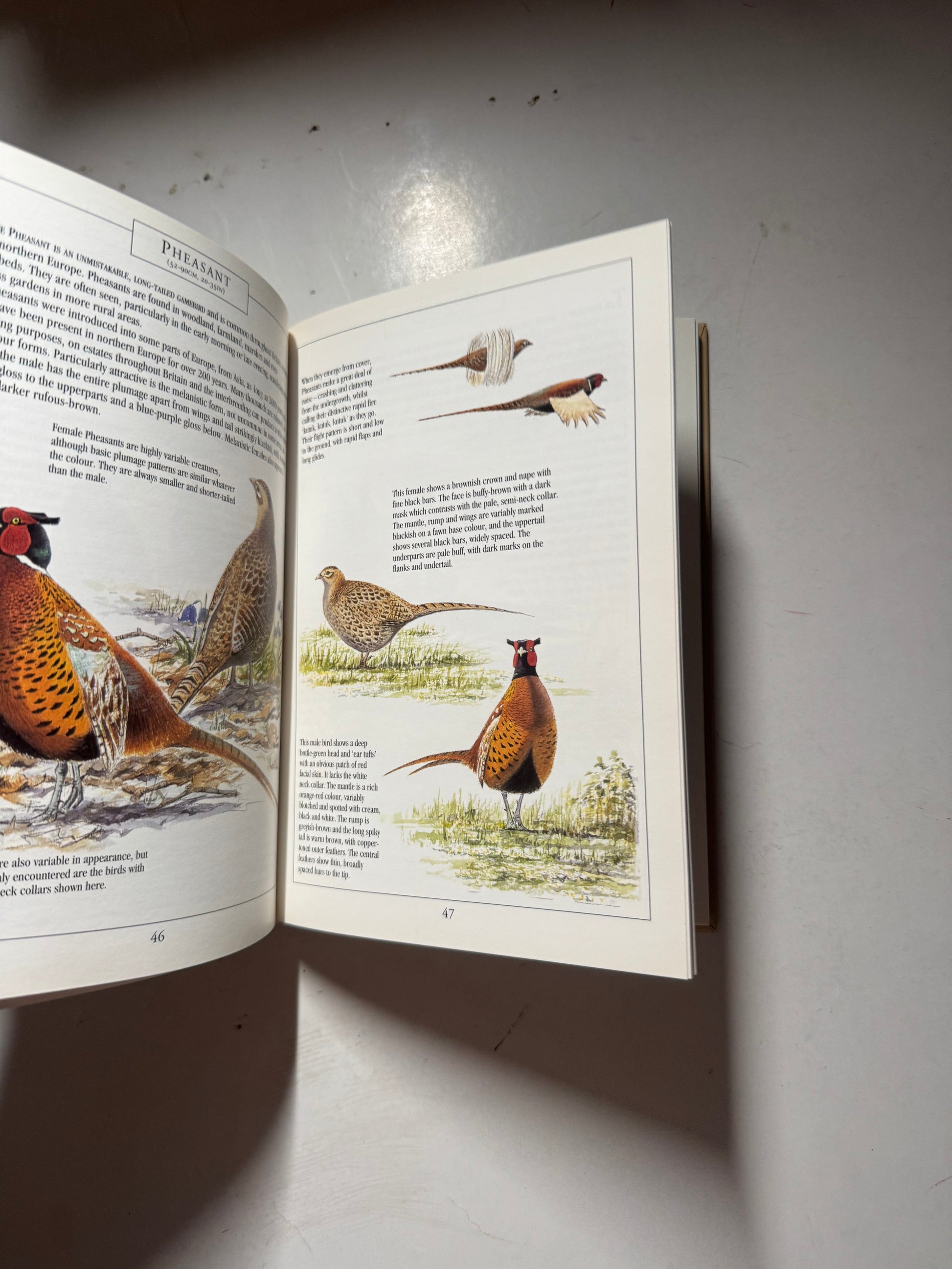 The Complete Garden Bird Book