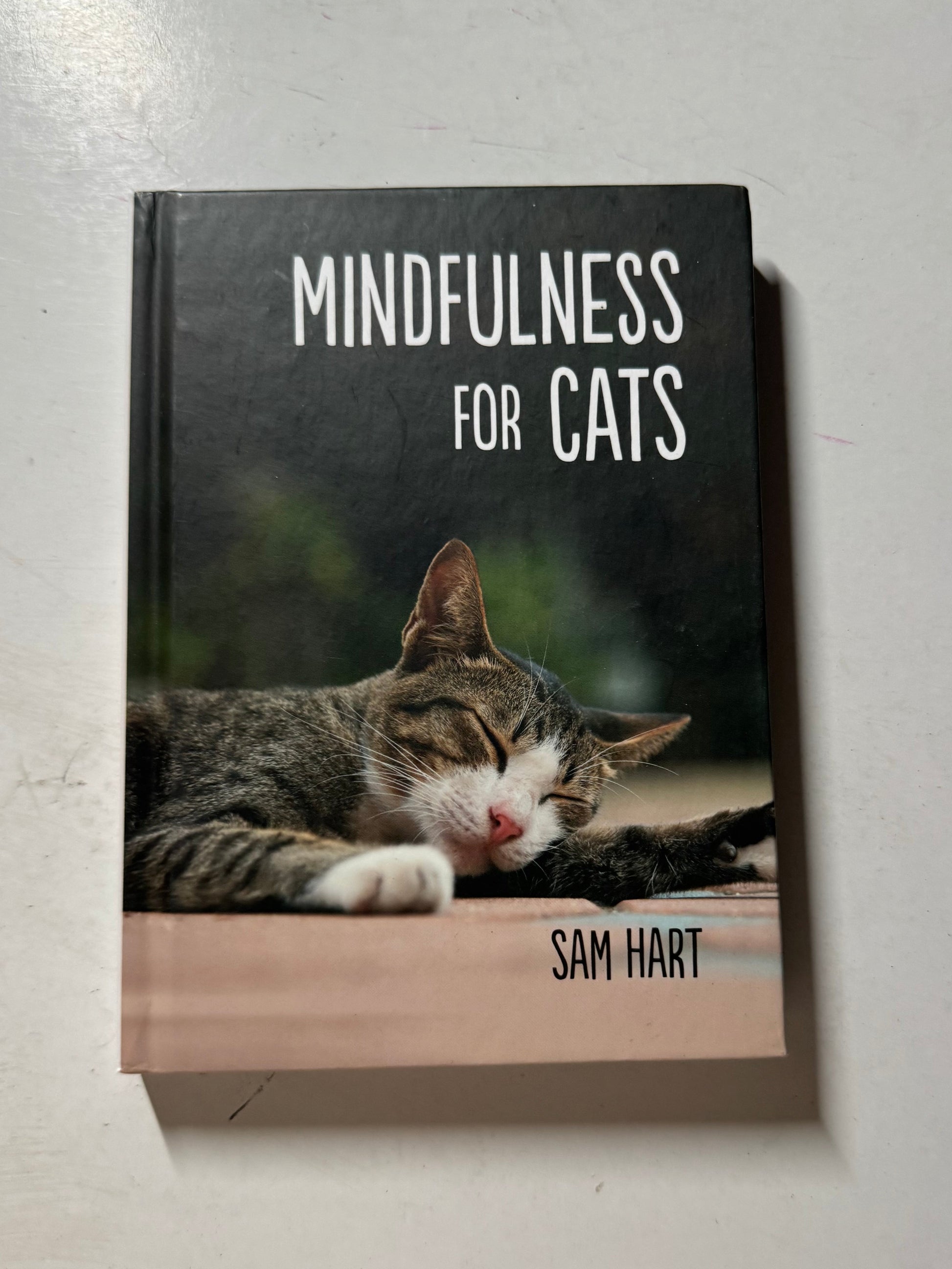 Mindfulness for Cats