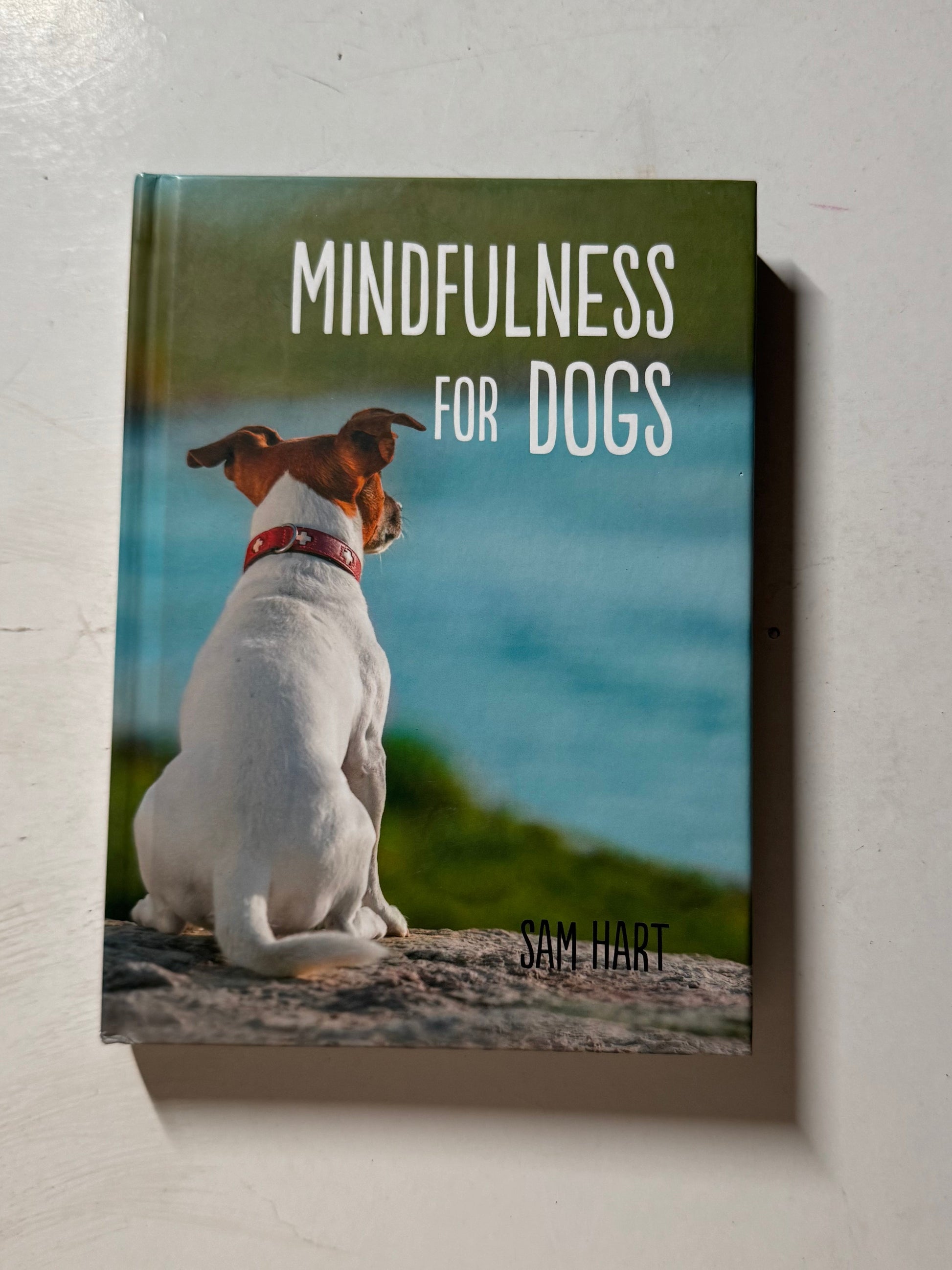 Mindfulness for Dogs