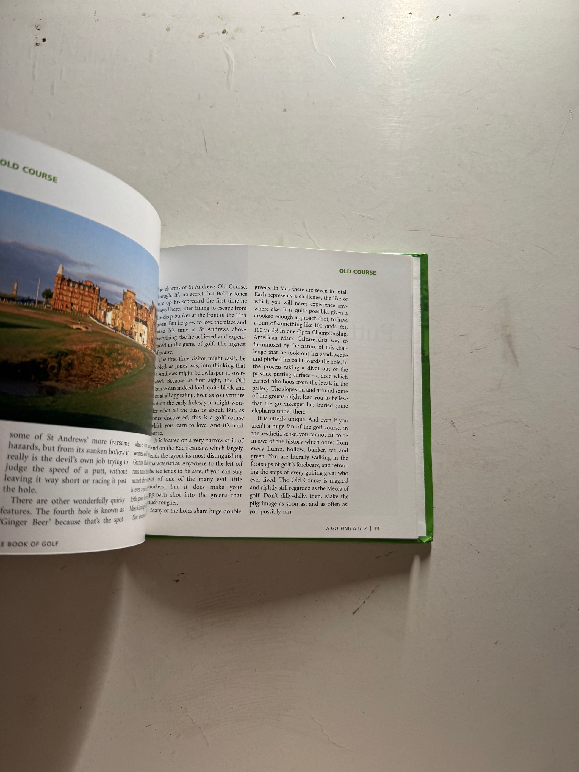 The Little Book of Golf