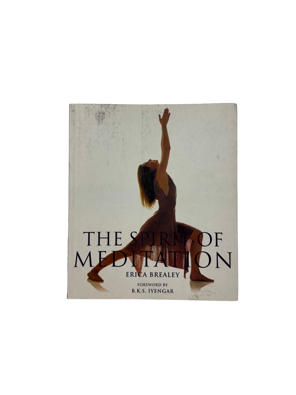 The Spirit of Meditation