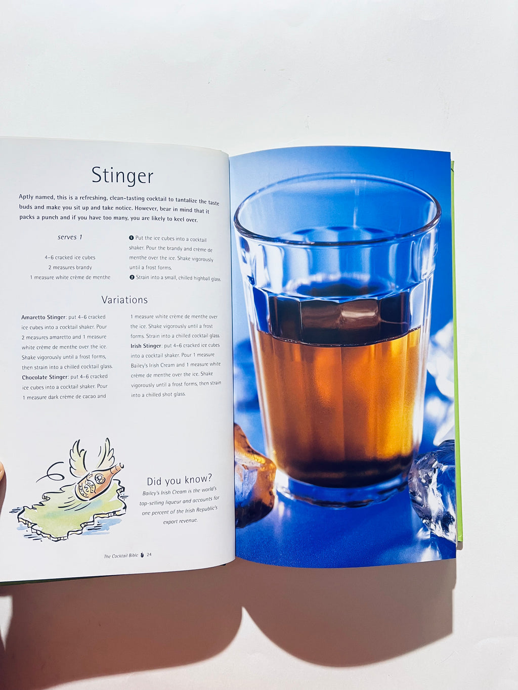 The Cocktail Bible: Traditional and Modern Cocktails for Every Occasion