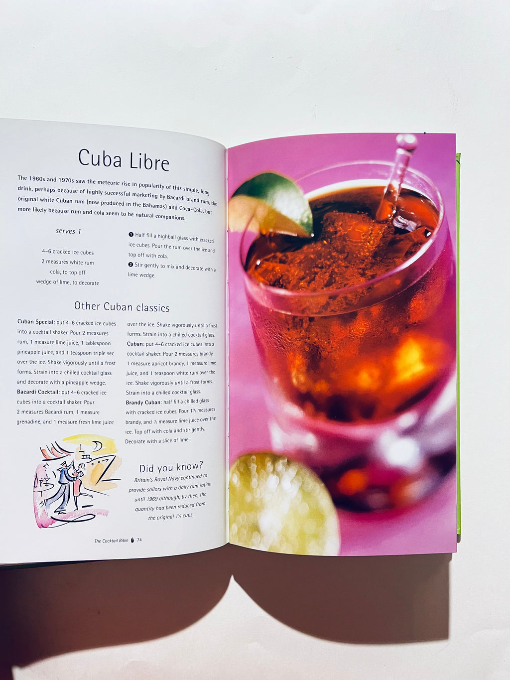 The Cocktail Bible: Traditional and Modern Cocktails for Every Occasion