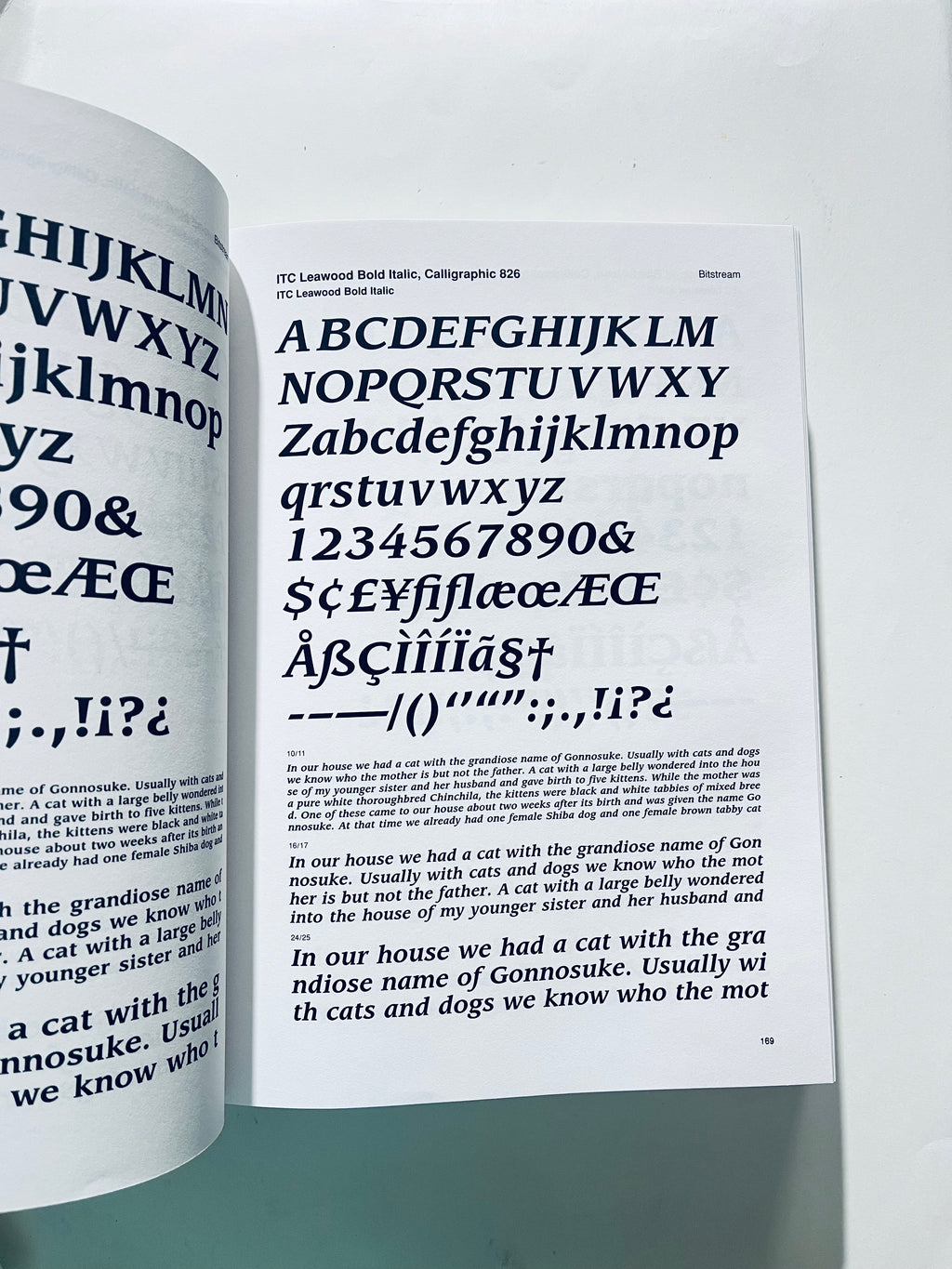 Typecosmic, Serif (Evergreen Series)