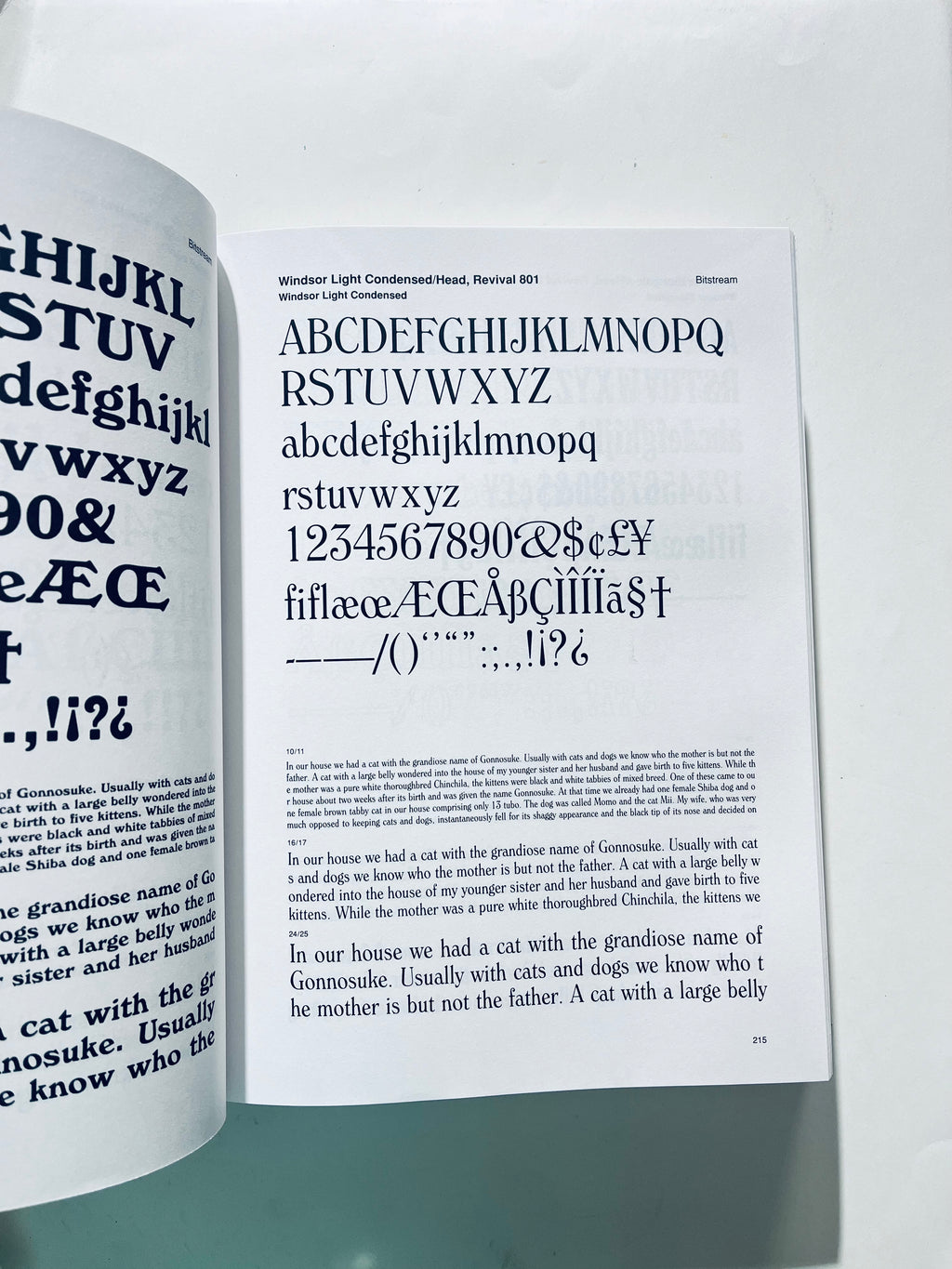 Typecosmic, Serif (Evergreen Series)