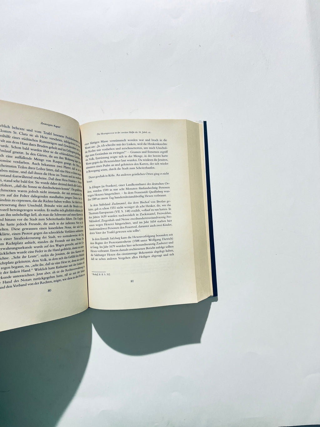 History of the witch trials. First part. Geschichte der Hexen Prozesse