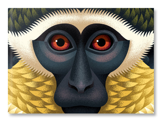 Kabinette, ბლოკნოტი, "მწვანე მაიმუნი" - მაიმუნების სერიიდან