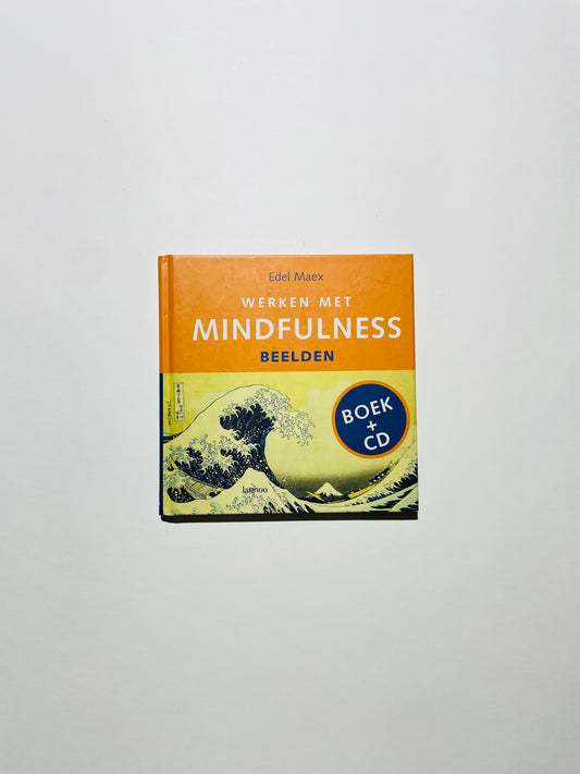 Werken Met Mindfulness