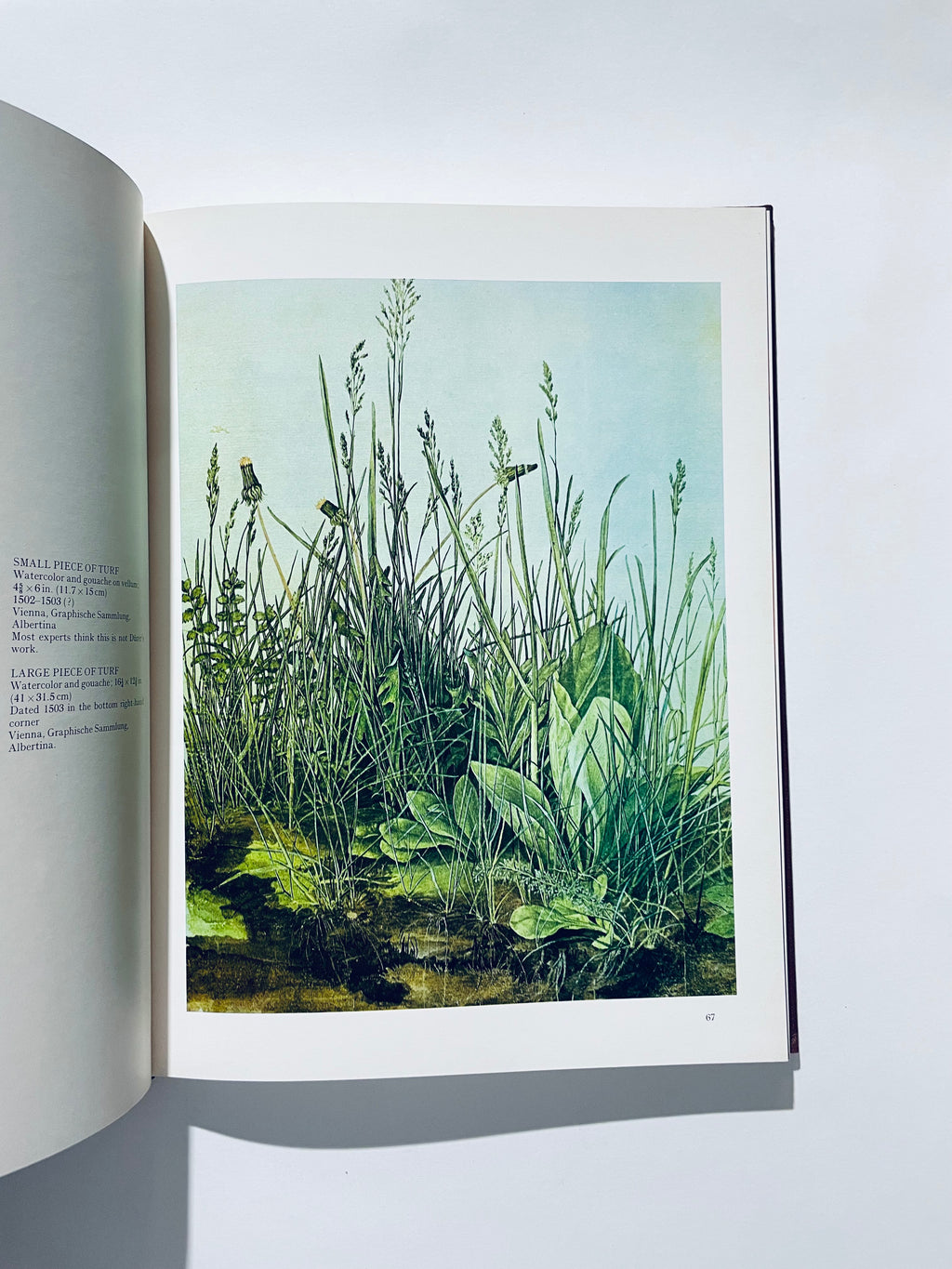 Hidden Durer