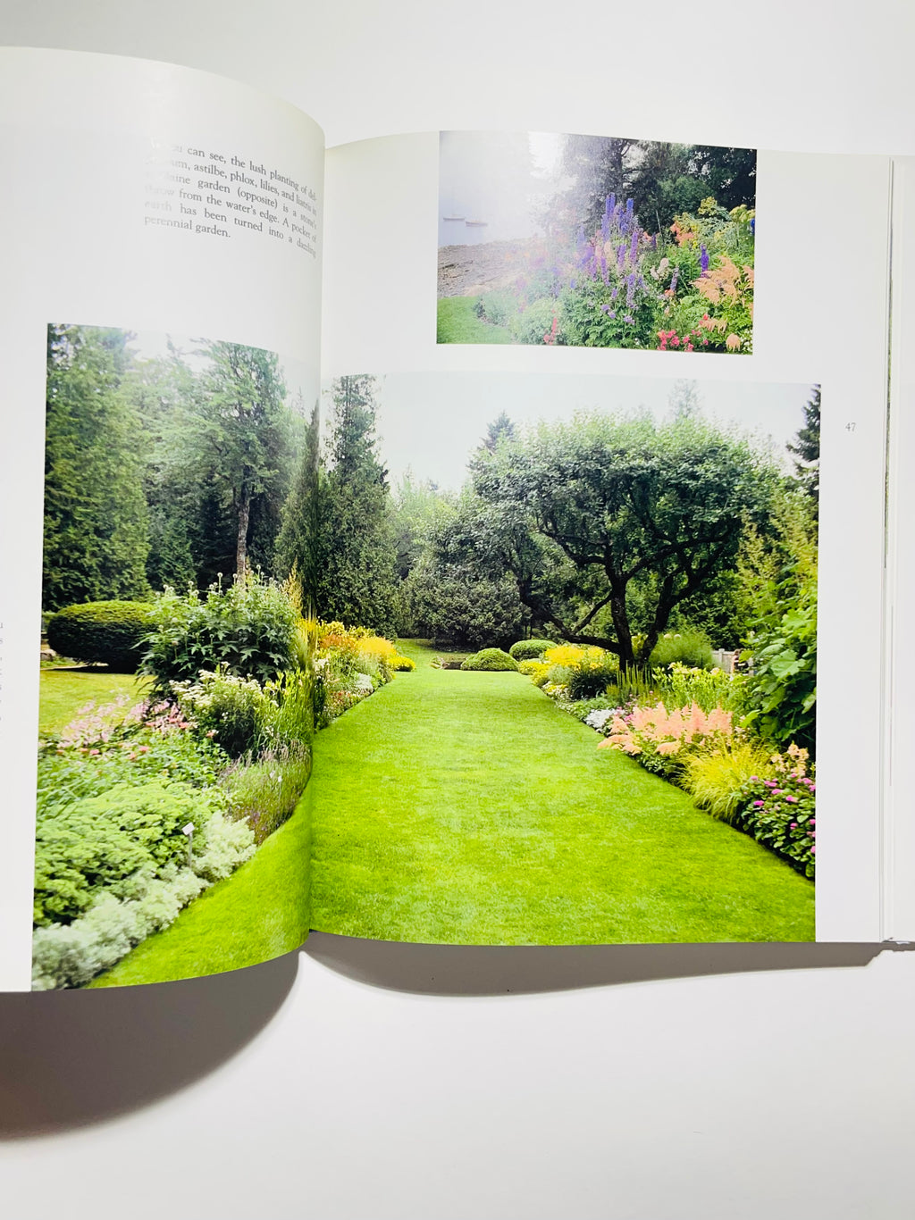 ზღვისპირა მებაღეობა