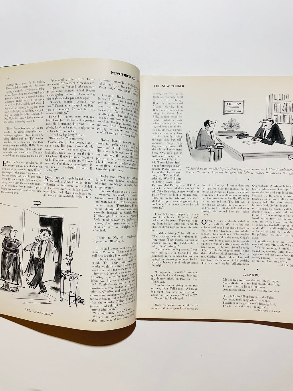 1971 წლის 27 ნოემბერი The New Yorker Magazine