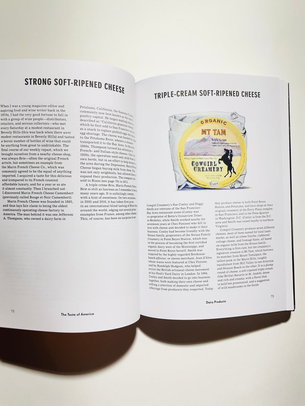 ამერიკის გემო