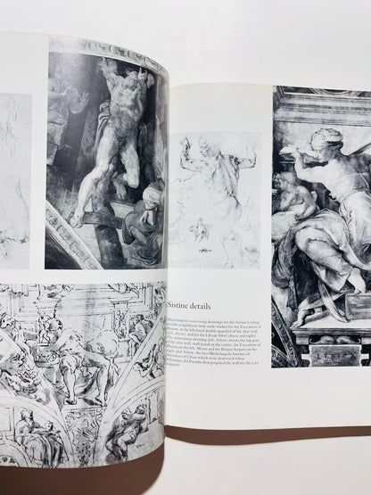 Michelangelo His Life Work and Times