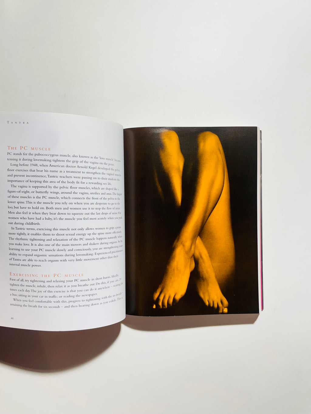 ტანტრა: გონების მომგვრელი სექსის ხელოვნება