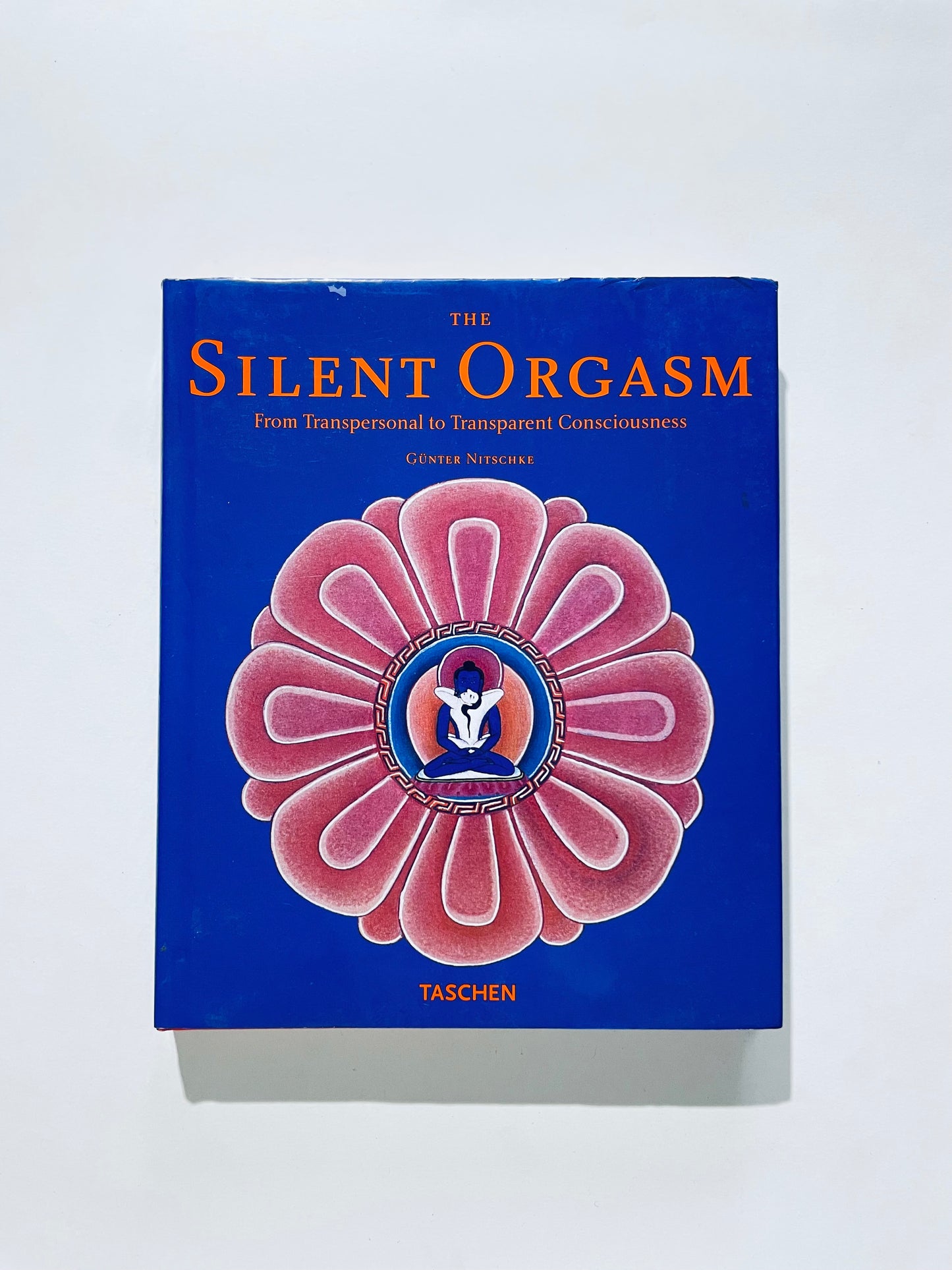 The Silent Orgasm: From Transpersonal to Transparent Consciousness