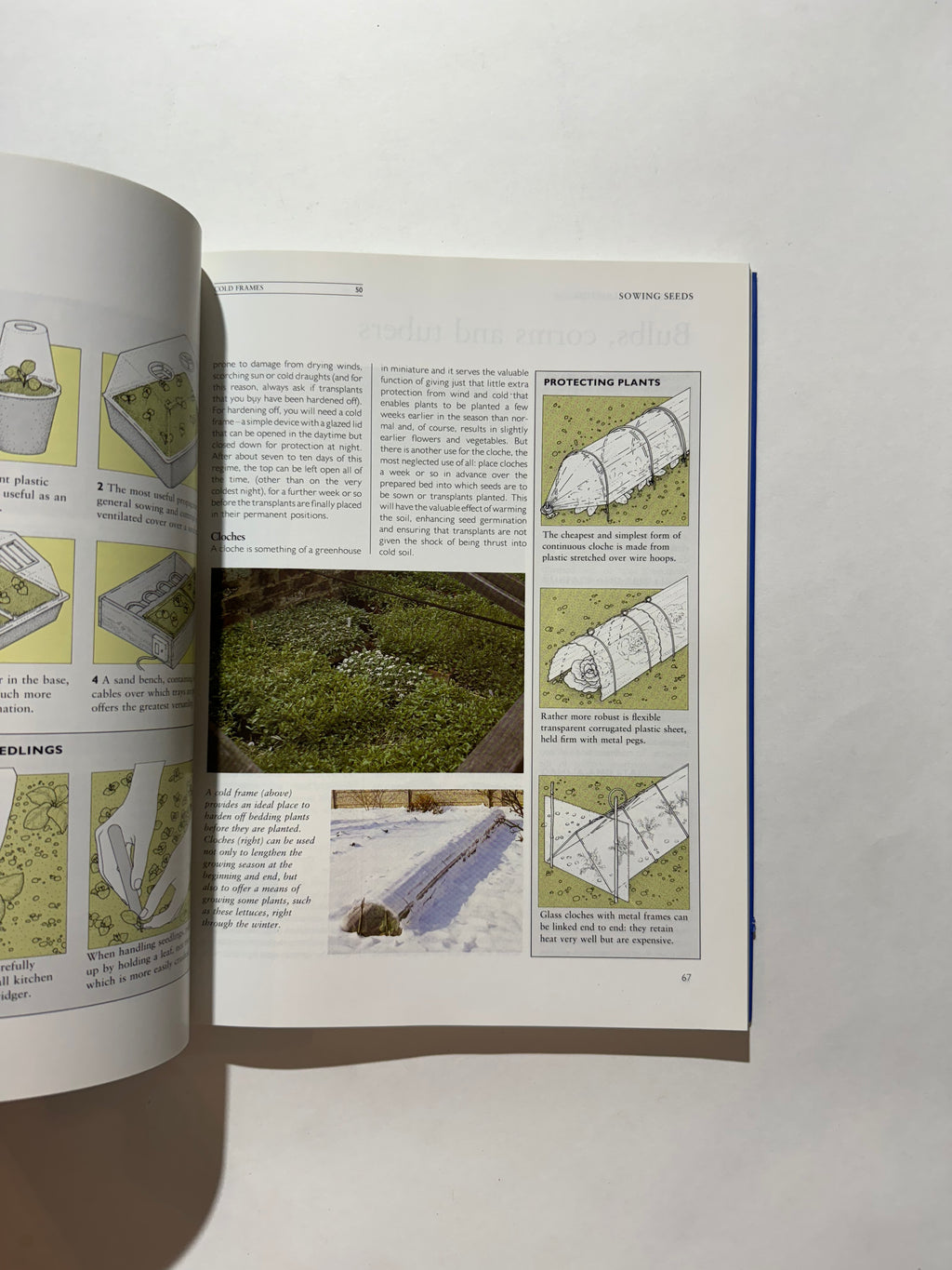 The Conran Beginner's Guide to Gardening