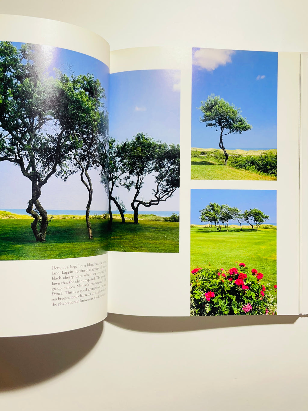 ზღვისპირა მებაღეობა