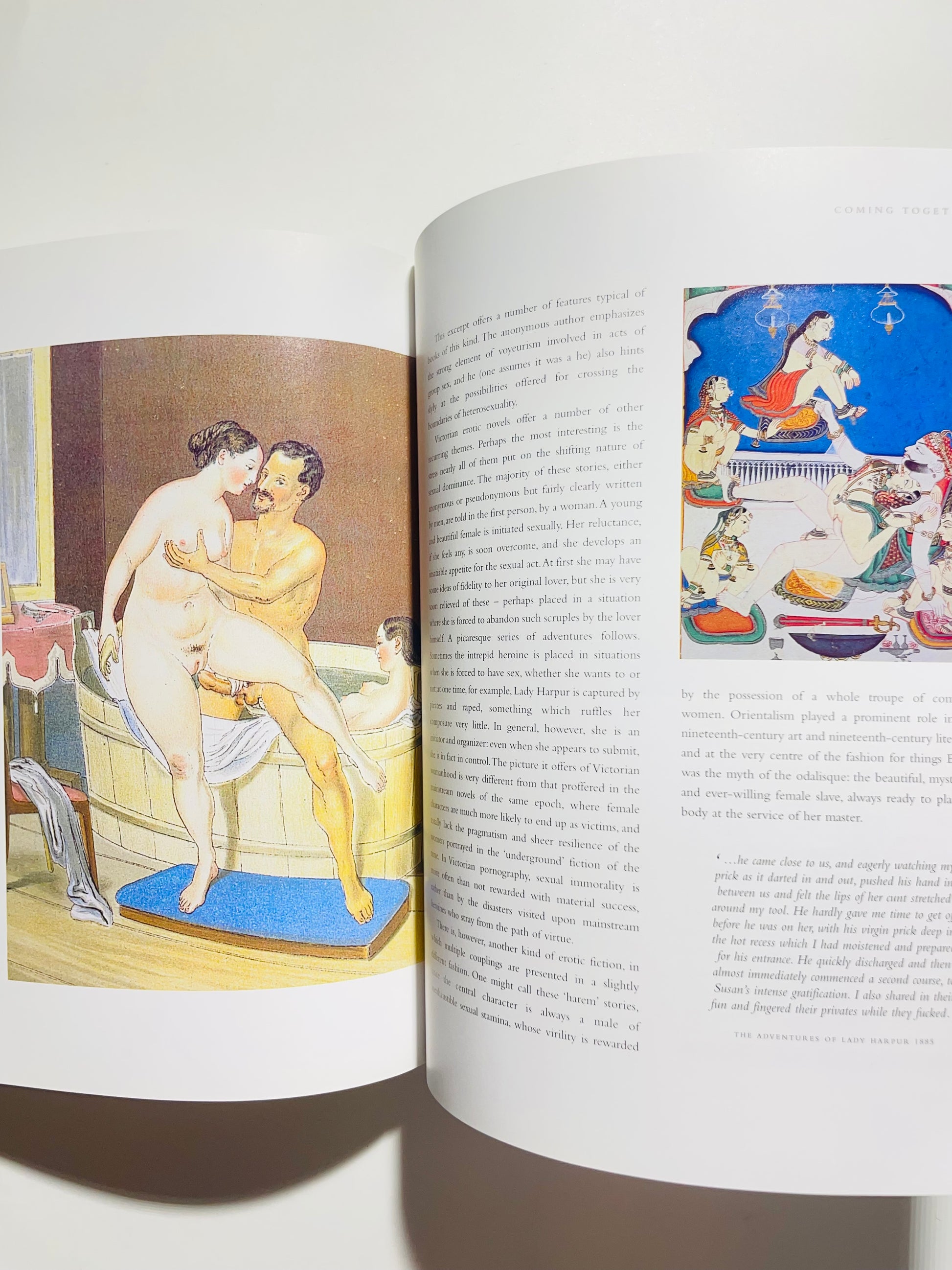 Ars Erotica An Arousing History of Erotic Art