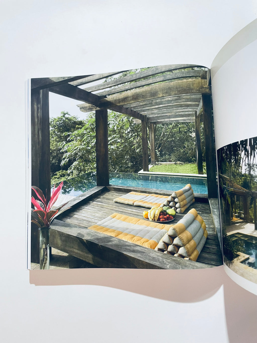 აუზები და ბაღები. Piscines &amp; Jardins. აუზები და გარტენი (მარადმწვანე სერია)