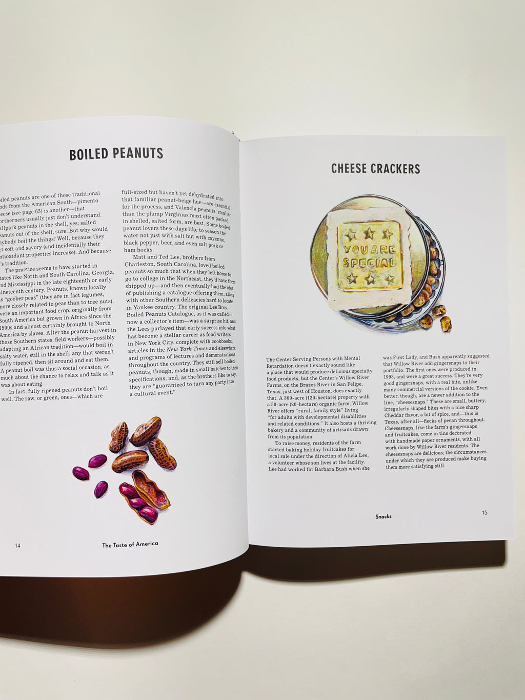 ამერიკის გემო