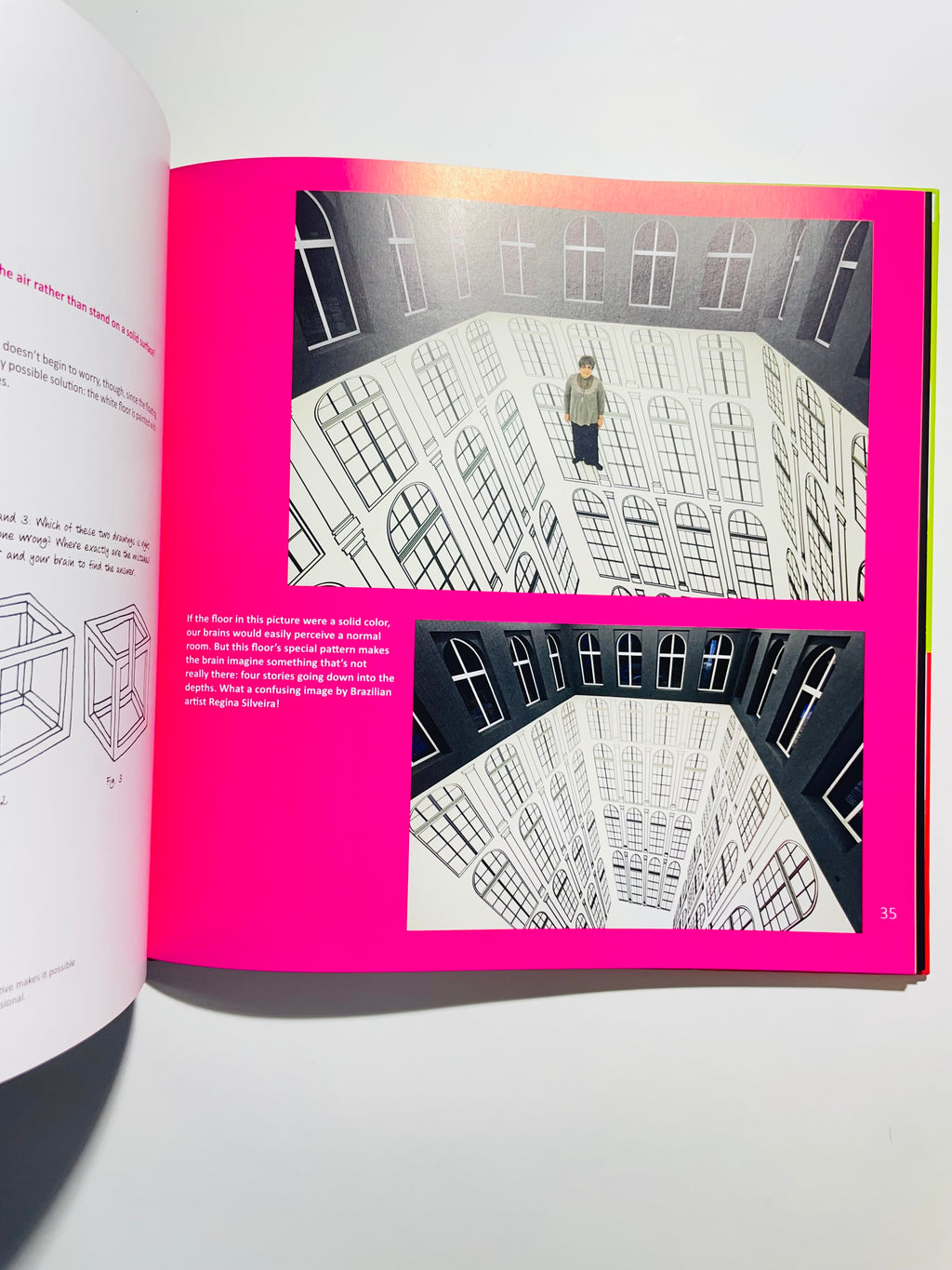 ჩემი ხელოვნებისა და ილუზიის დიდი წიგნი