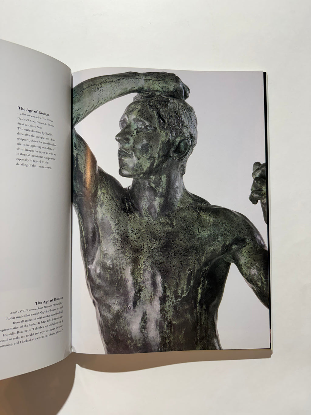 Auguste Rodin: Master of Sculpture (Art)