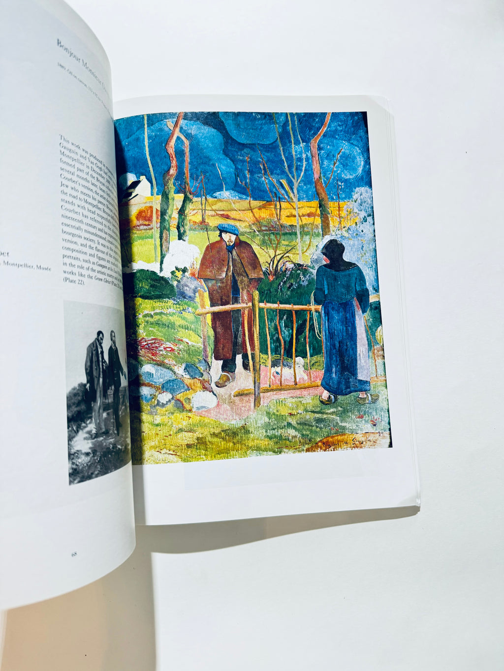 Gauguin: Colour Library (Phaidon Colour Library)