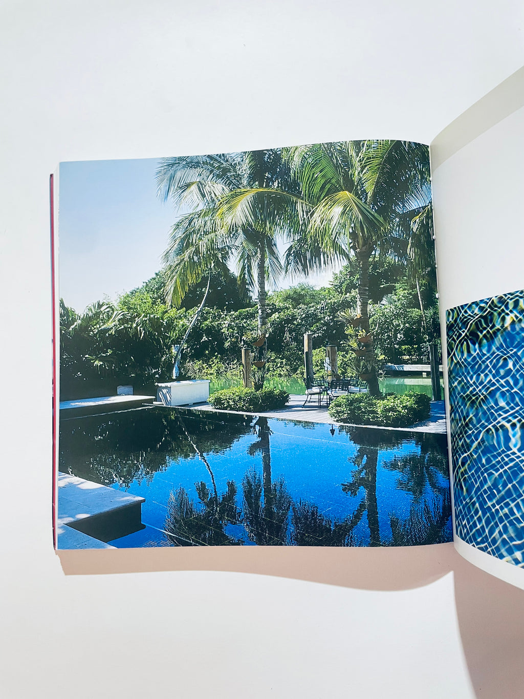 აუზები და ბაღები. Piscines &amp; Jardins. აუზები და გარტენი (მარადმწვანე სერია)