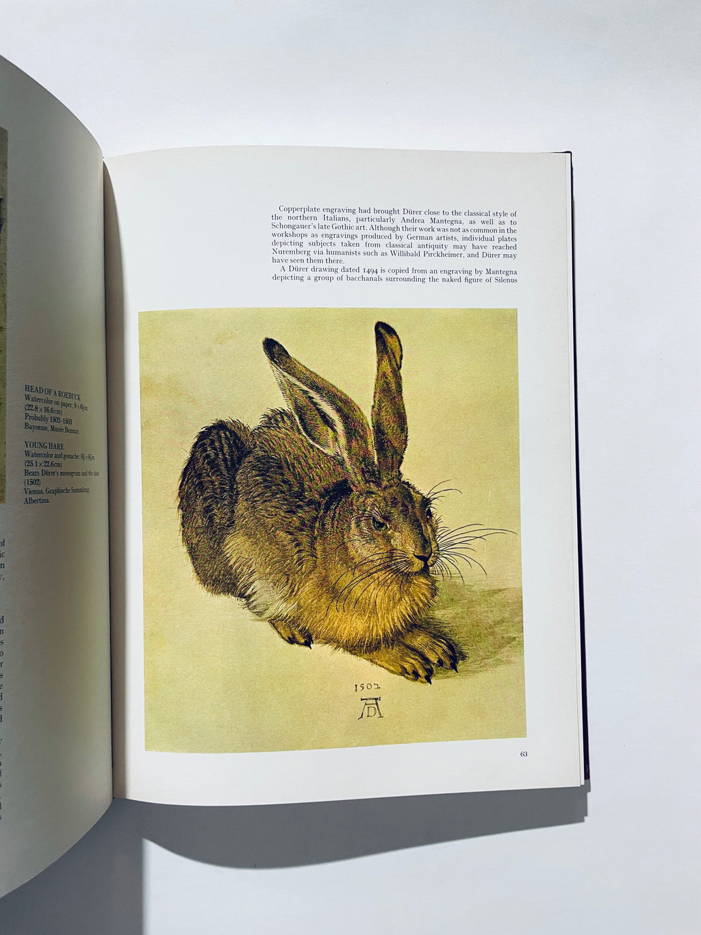 Hidden Durer