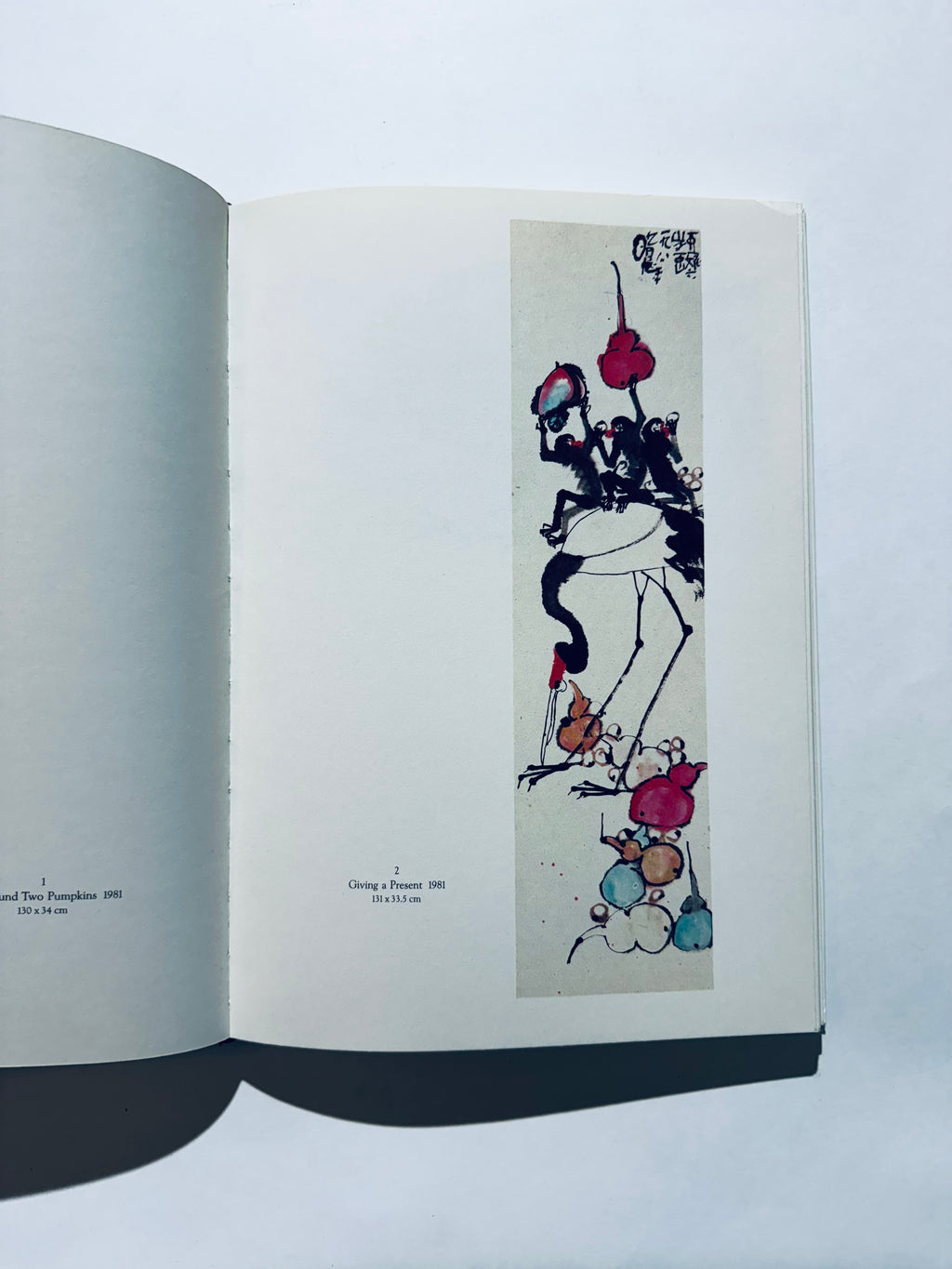 ვანგ იანი: ახალგაზრდა ჩინელი გოგონას სურათები