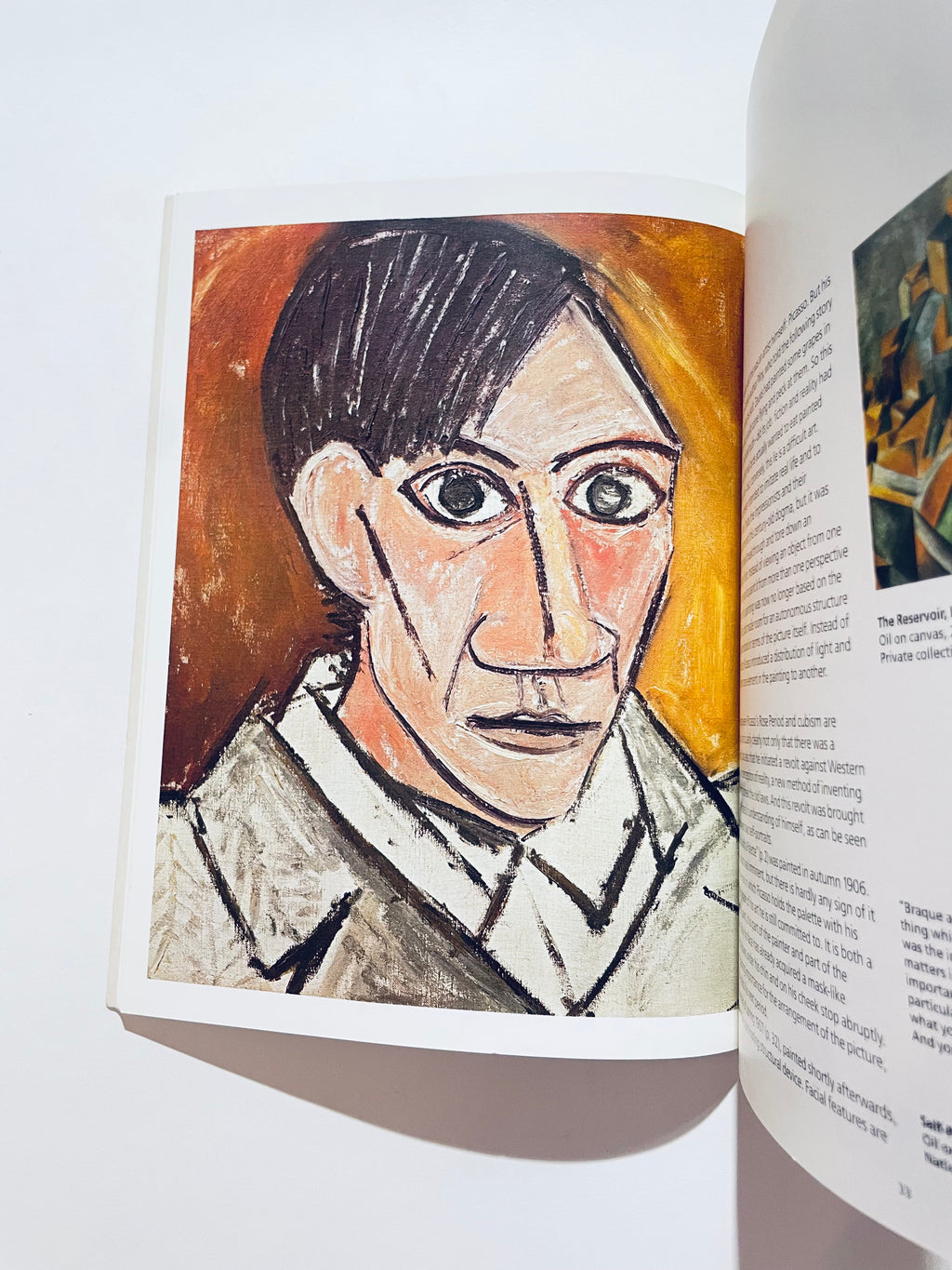 Pablo Picasso: 1881-1973 (Genius of the Century)